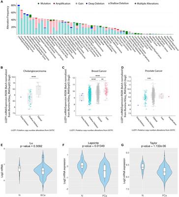 LUZP1 Controls Cell Division, Migration and Invasion Through Regulation of the Actin Cytoskeleton